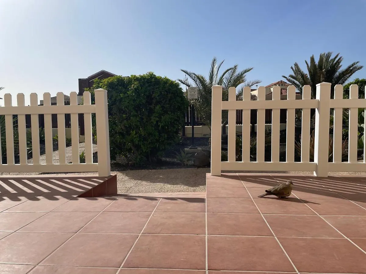 Teresita Deluxe With Pool Daire Caleta De Fuste